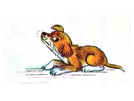 Щенок из сказки Сутеева