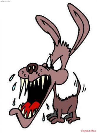 Бешеные животные