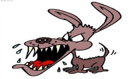 Бешеные животные