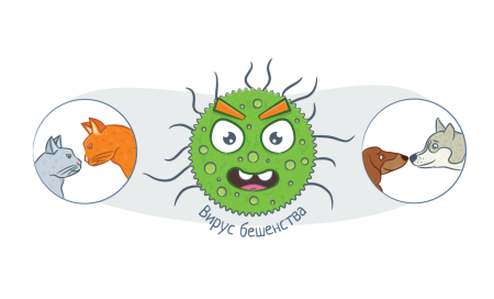 Дикие животные раскраска для детей