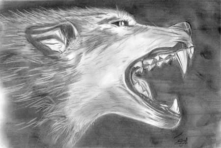 Животные по одному