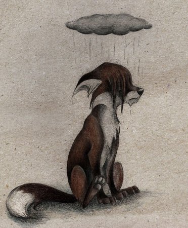 Лисы художницы Skia