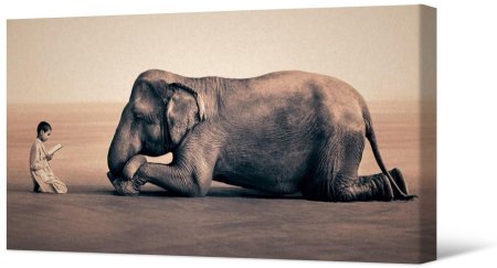 Высказываниямо собаках