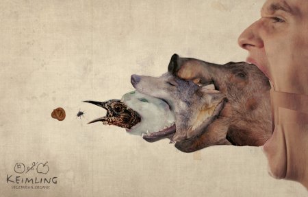 Добрые фразы про животных