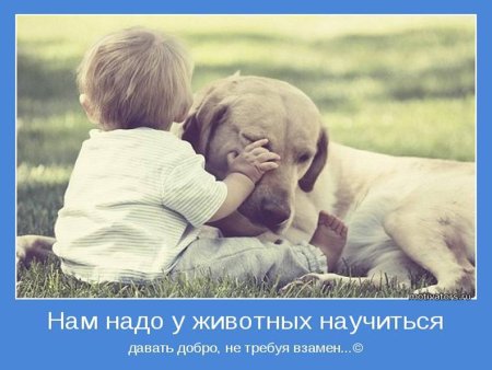 Картинки на рабочий стол креативные