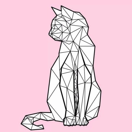 Геометрическая кошка