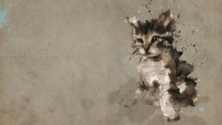 Обои с котиками