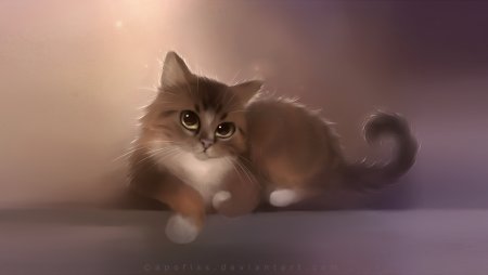Красивые мультяшные котики