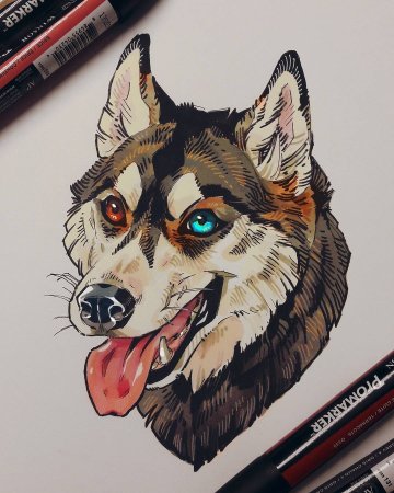 Рисунки маркерами