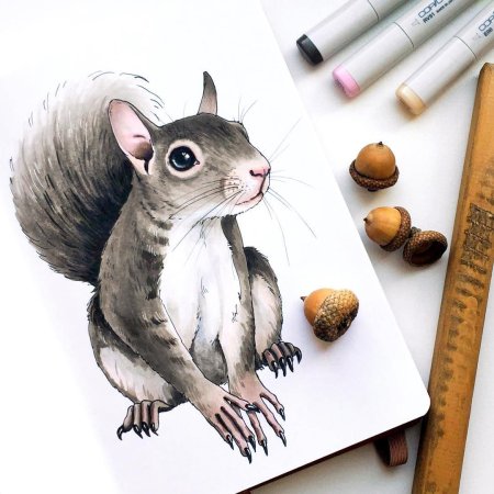 Скетчи маркерами животные