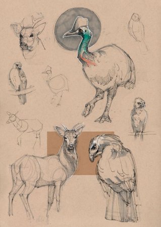 Наброски животных