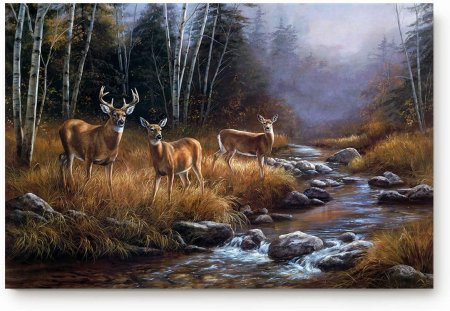 Картина олени на водопое