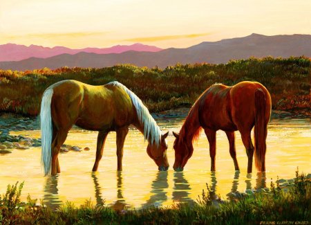 Персис Клейтон Вейерс лошади