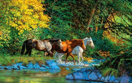 Бонни Маррис художник лошади