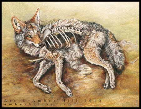 Аниме Волчий дождь раненный волк