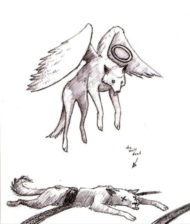 Волк лежит на спине арт