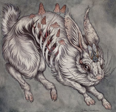 Силуэты мёртвых животных