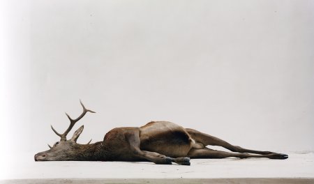 Зарисовки страшных Волков