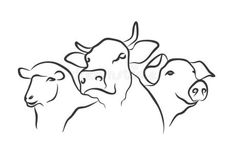 Контуры сельскохозяйственных животных