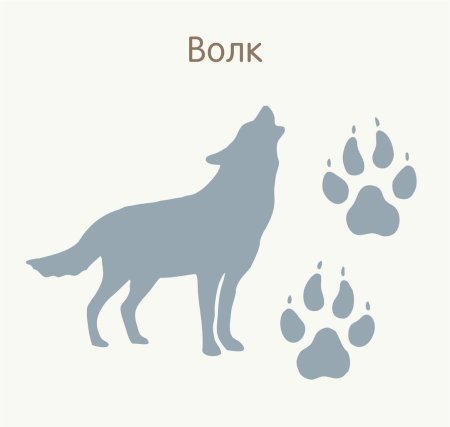 Следы животных для детей