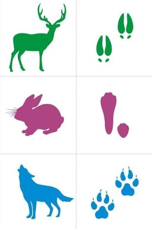 Следы лесных животных для детей