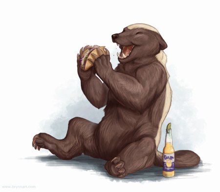 Honey Badger арт