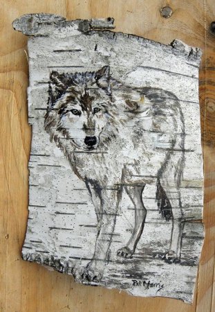 Рисунки на бересте животные