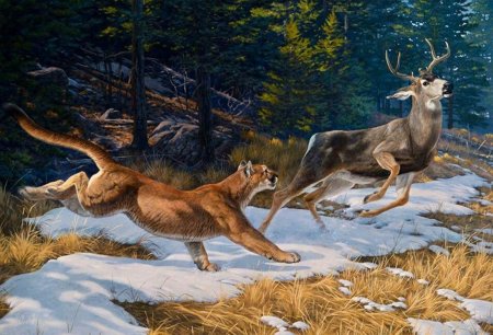 Татьяна Данчурова картины волки