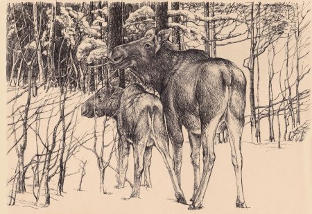 Охотничьи зарисовки