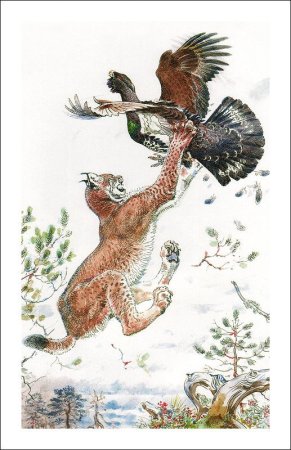 Анималист Вадим Горбатов