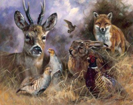 Охотничьи звери