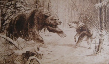 Выжигание охота