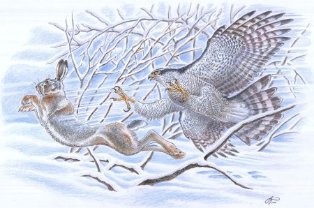 Вадим Горбатов картины заяц