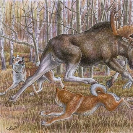 Художник Шкурко Антон Валерьевич