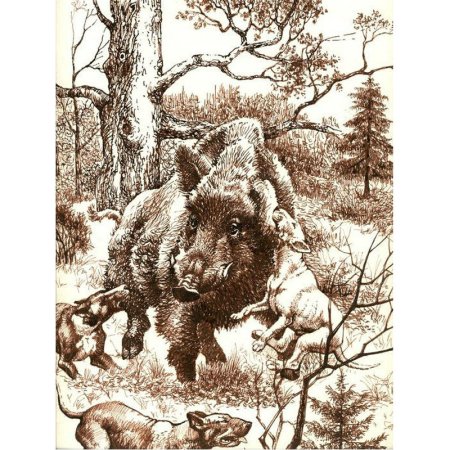 Охотничьи зарисовки