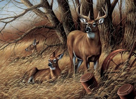 Cobble Hill пазлы олень