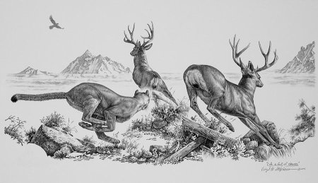 Охота на оленя