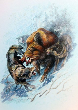 Анималист Дегтев Александр