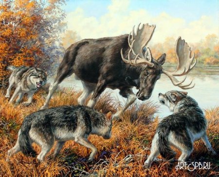 Художник анималист Татьяна Данчурова