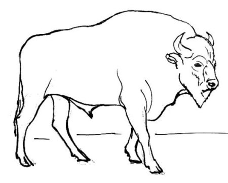 Рисование по этапам животных