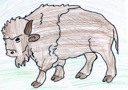 Буйвол раскраска для детей