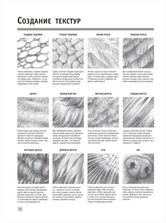 Шерсть карандашом штриховка