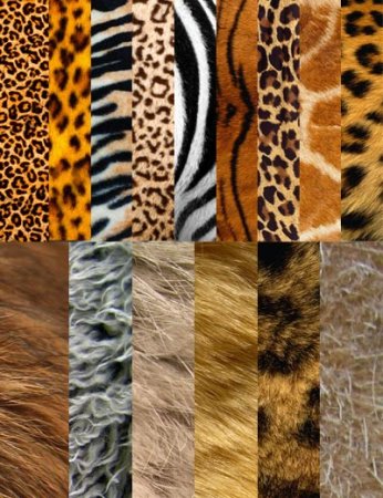 Шерсть животных