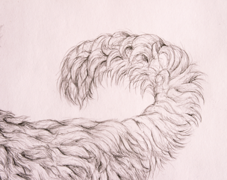 Нарисовать шерсть
