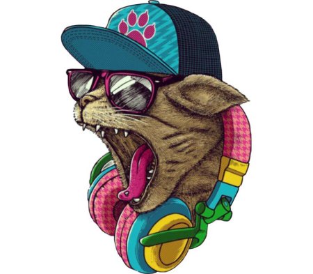 Енот в кепке арт