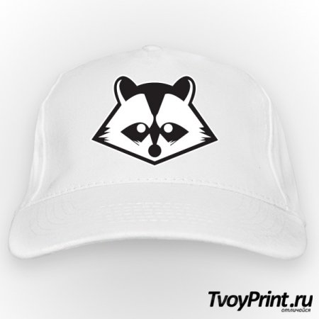 Кот в кепке и очках