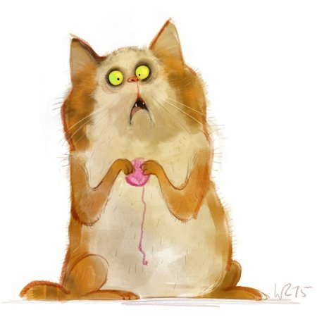 Удивленный кот