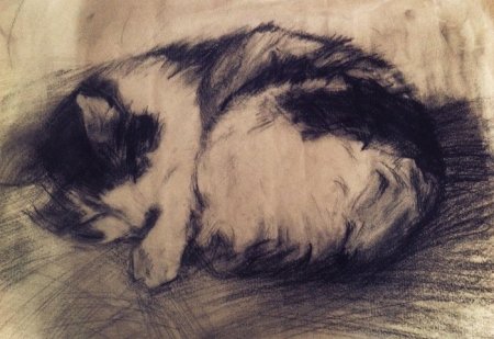 Кошка сангиной