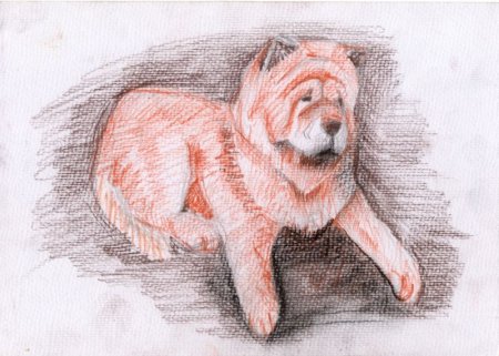 Рисование сангиной животных