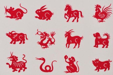 Крыса бык тигр кролик дракон змея лошадь коза овца